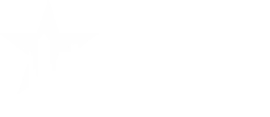 City Auction Group